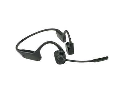 Pryme Radio Products BTH-M100v